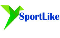 Оригами Sportlike логотип